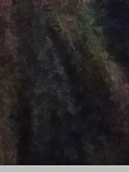 Ditch girlfriend shared