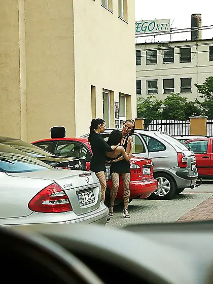 Hungarian domination