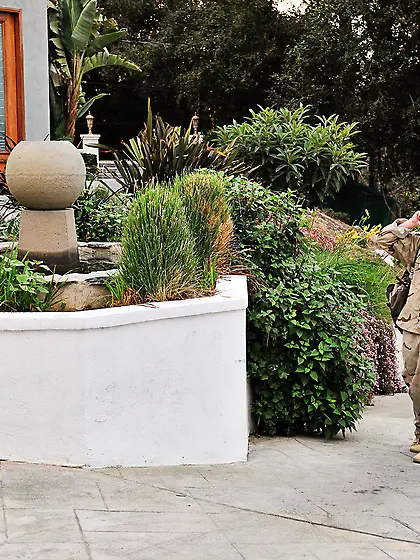 Amazing looking brunette darling gets fantastic ramming and a cr