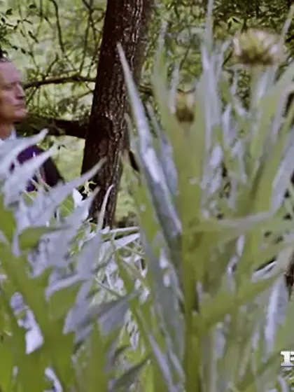 German blonde gets fucked rough