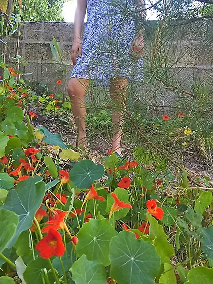 Hairy Milf JoyTwoSex - Dress And Garden