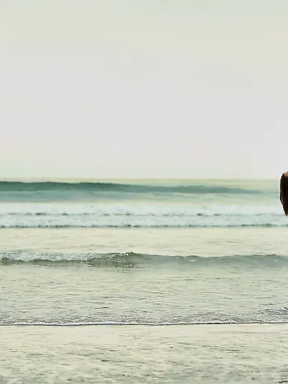 Slutty and busty chick Brooklyn Chase takes a guy home and rides