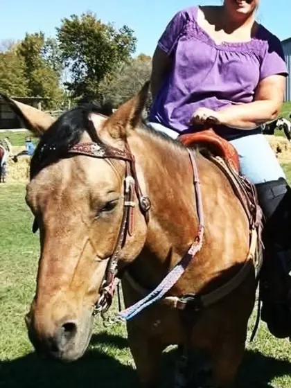 Shelby Eggum Wisconsin