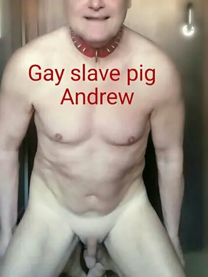 gay slave pig Andrew naked collar blowjob scat sub