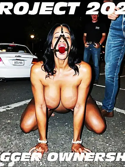 Make niggers slaves again