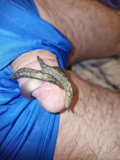 Slug pleasures my cock inside and out