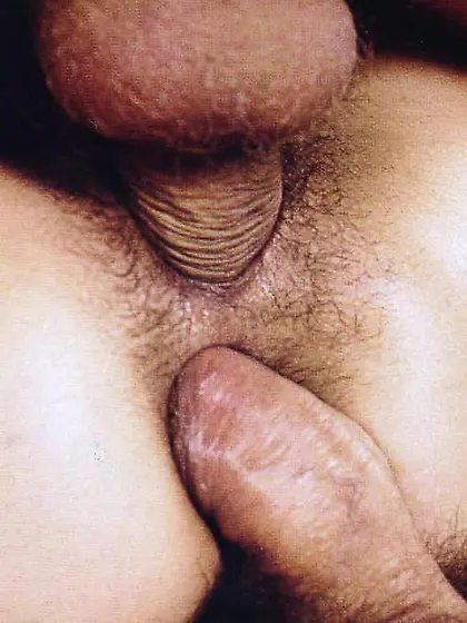 French classic pic series