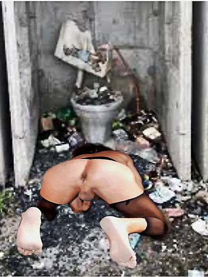nasty toilet whore