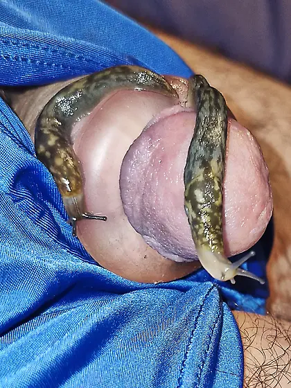 Slug pleasures my cock inside and out