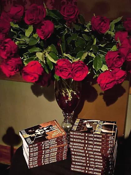 Books erotic fashion bdsm