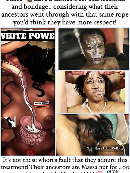 Collection of fuck monkeys