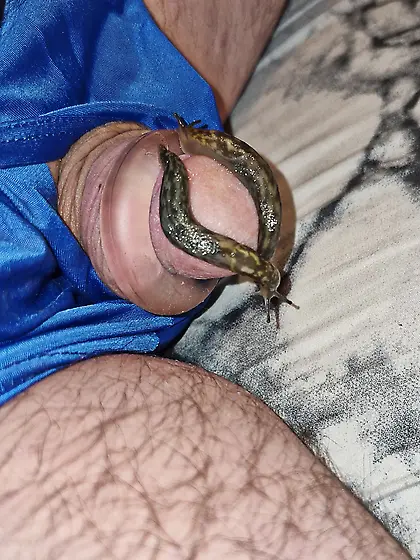 Slug pleasures my cock inside and out