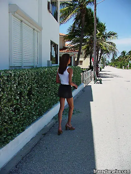 Doggy pounding with shemale slut