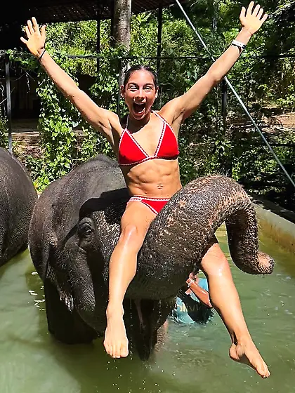 how would you wreck these wanna be tough fit sluts