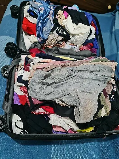 Hamper hunter (not OC)