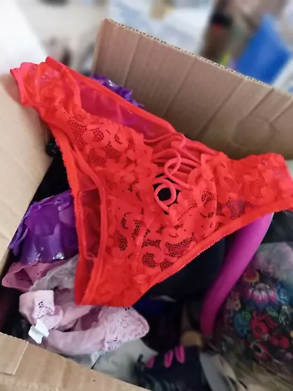 Hamper hunter (not OC)