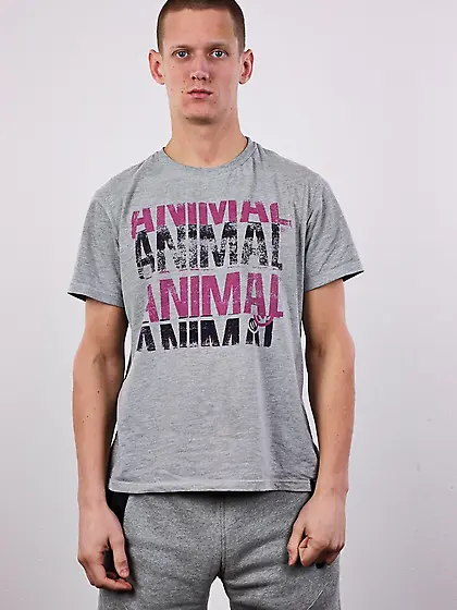 Dominant massive cock is ready to fuck