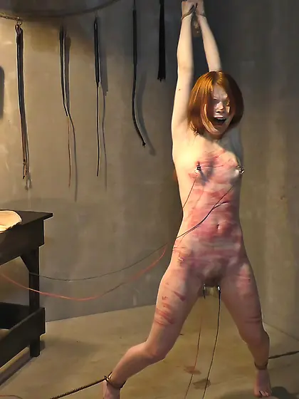 BDSM - Electro - GIFs and JPG