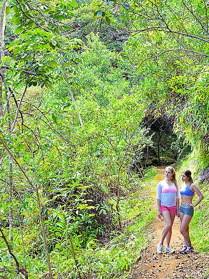 Nicole and Veronica went to the woods to do some lesbian things
