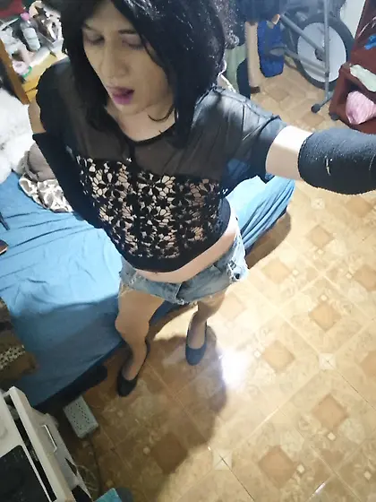 Sissy en busca de adopción