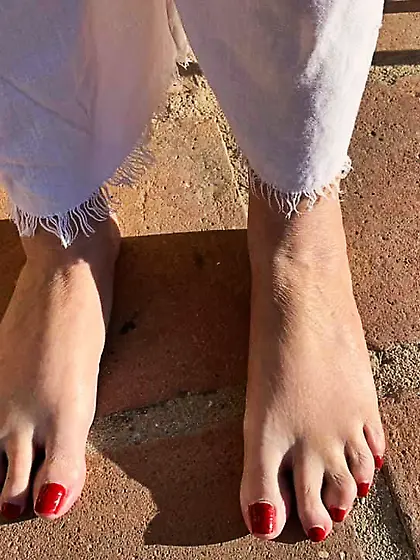 DOODLE'S DUTCH CRUSH SEXY SUKE