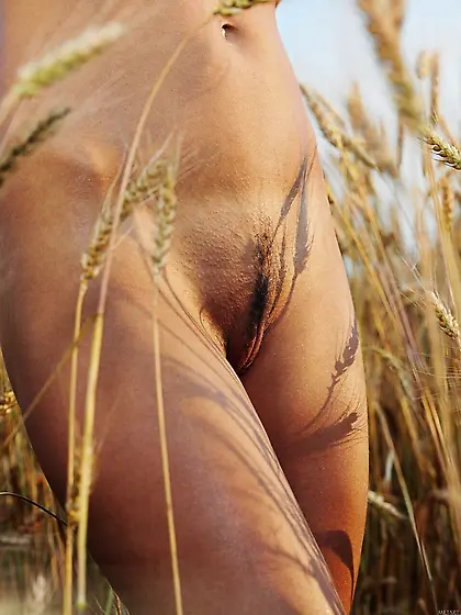 Anastasia Petrova [PP21077844]