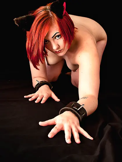 Petgirl crawling redhead cat ears cuffs