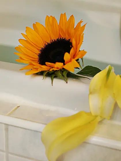 Kim Nubiles spreads her long sexy legs and shows us her hungry d