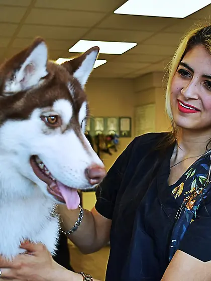 Dutch CyntKr Reddit Xavier van Heerden