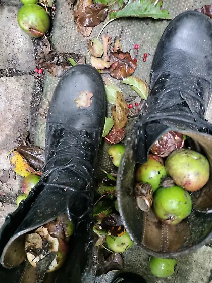 Skinhead boots apples bondage cbt