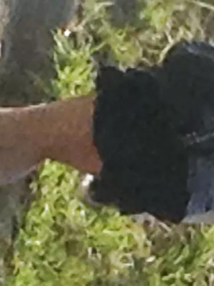 Women in the street - filles dans la rue