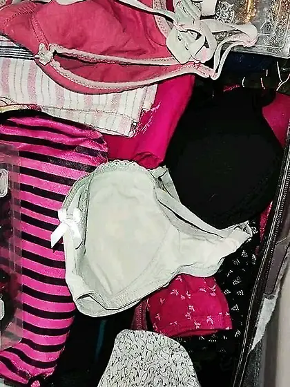 Hamper hunter (not OC)