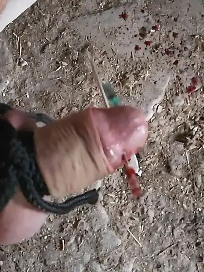 Mein aufgespießter Schwanz: Nadel 2 von 12