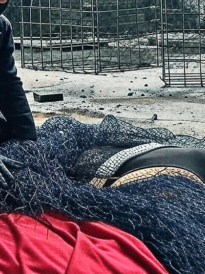 Black Superhero captured in netting.  KO and fondle