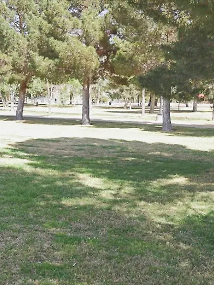 Beautiful brunette strolling park
