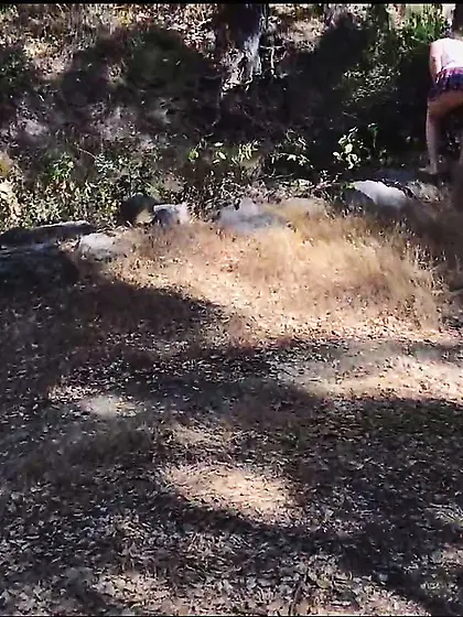 Virginia Subslut Fucks Stranger in Public