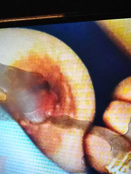 Recuerda cuando te tuve en mi boca...  Cuando me co