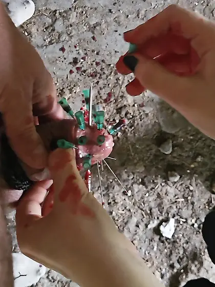 Mein aufgespießter Schwanz: 12 Nadeln