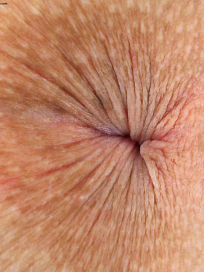 Buttholes & Spread Ass Cheeks