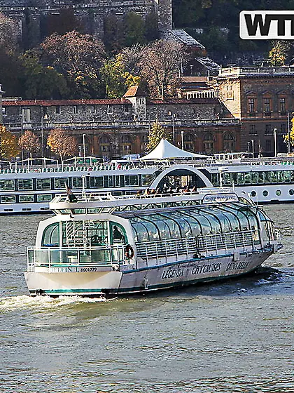 Intensely attuned and ready to get fucked in public like a hoe