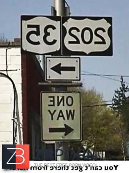 Moshe Enjoys Combined Messages and Freaky Signs