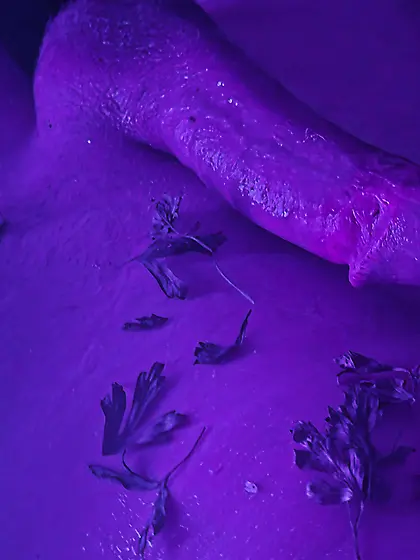 Stuffed for the grill dm if intrested