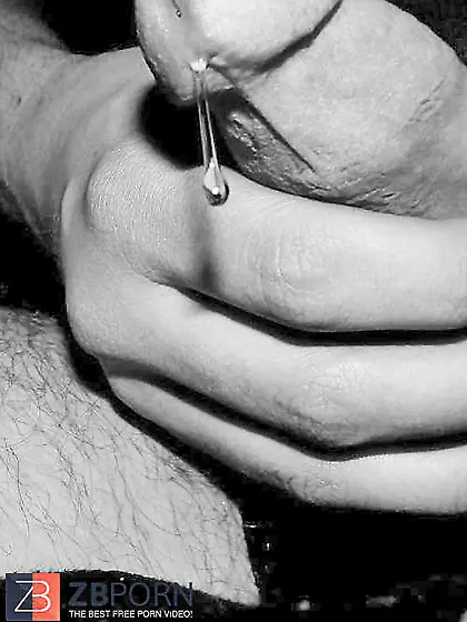 Wonder in Dark-Hued and White