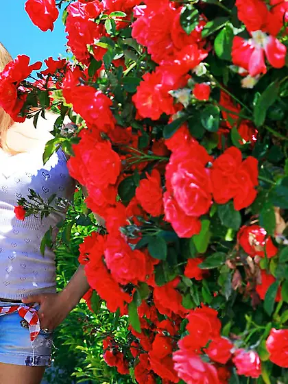 Busty blonde is happy to present her gorgeous,  hair-free pussy h