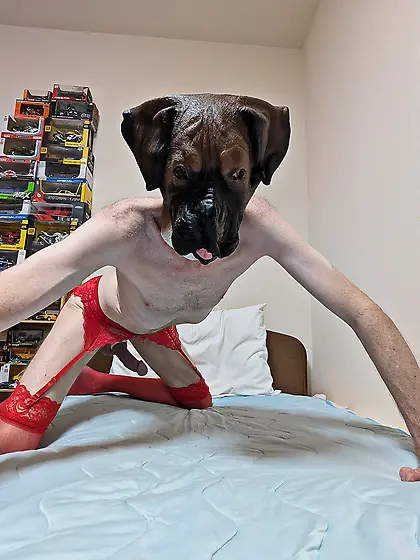 Bulldog & devil horn mask with sexy red lingerie