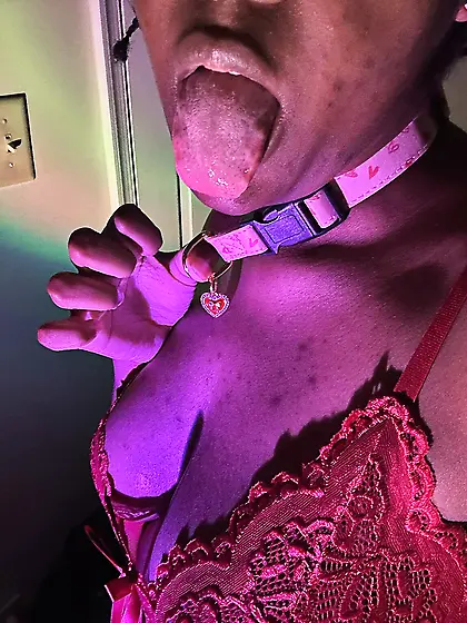 Xai is such a desperate puppy