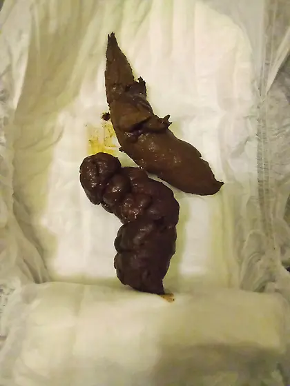 This bitch almost poop on my floor. no scat