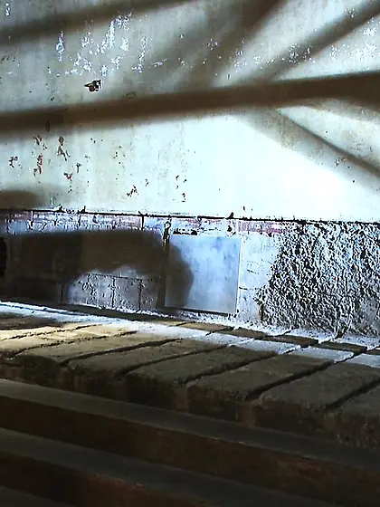 Handsome gay men freaky