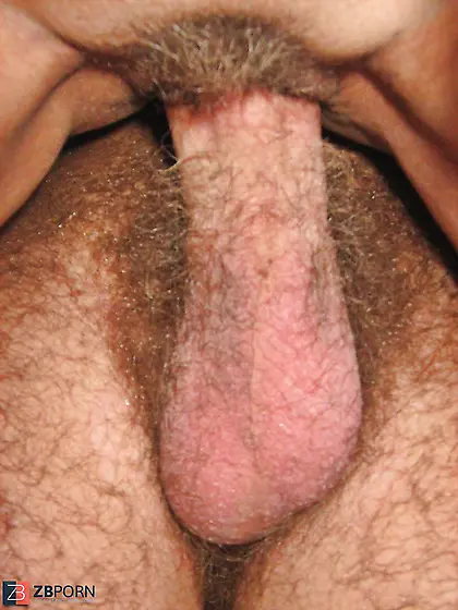 Sate comment this ravage!