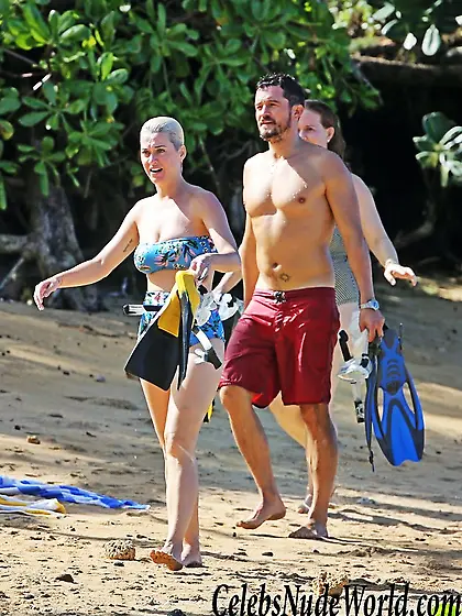 Katy Perry Bikini